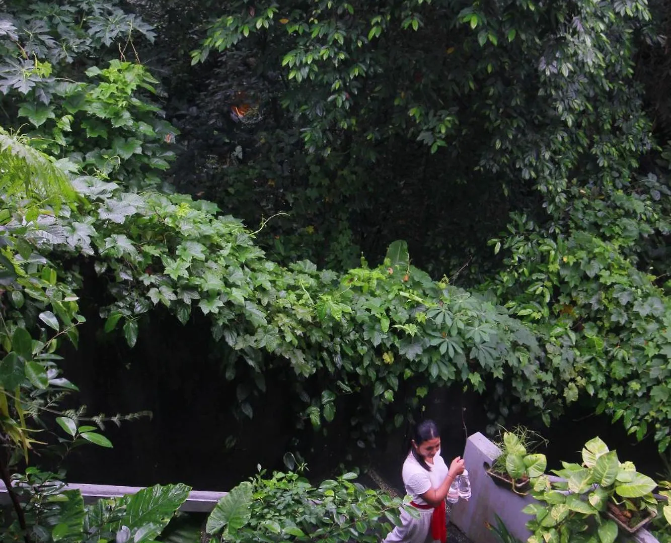 Sari Gong Guest House, A Trishula Collection Ubud