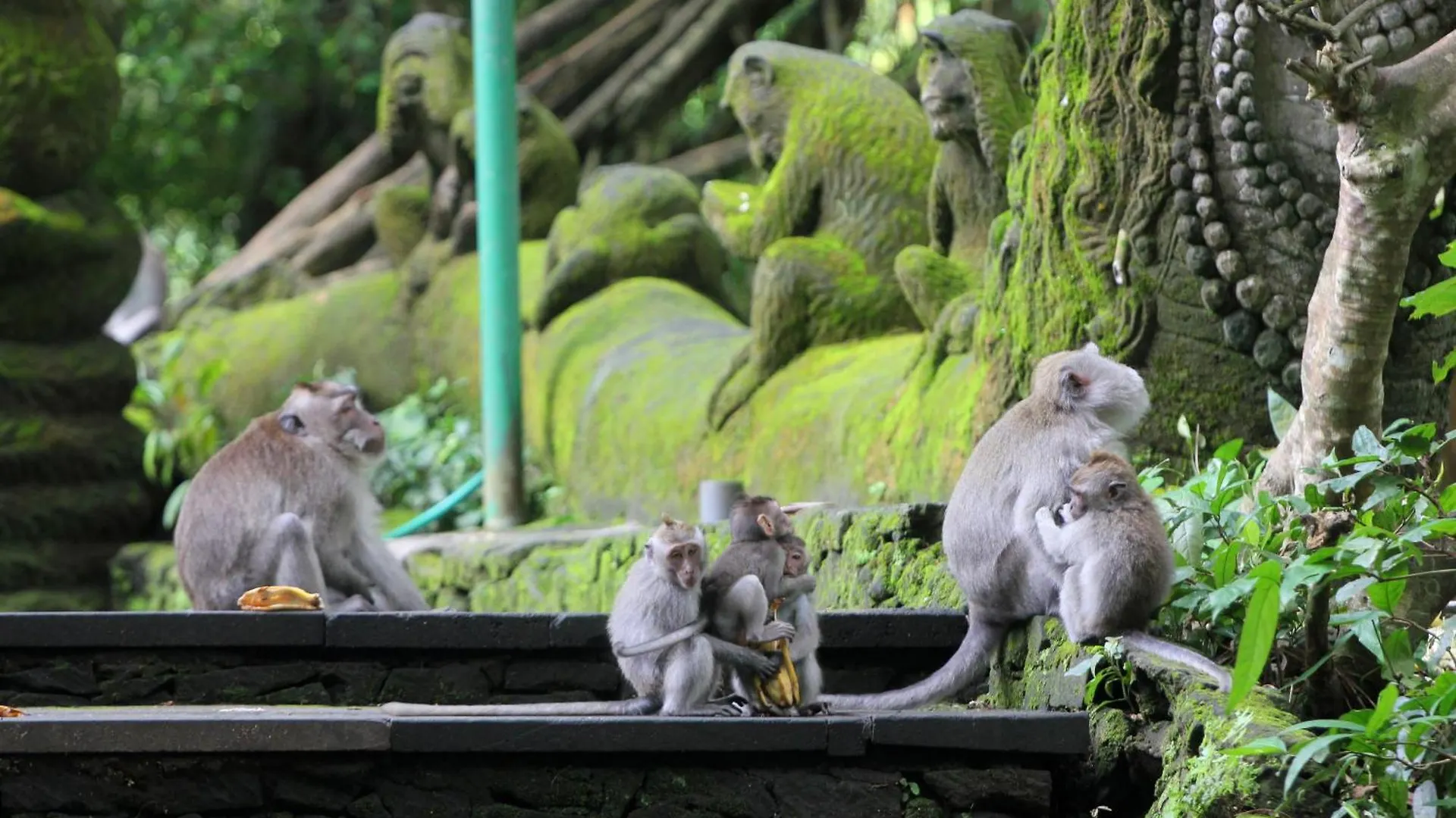 Sari Gong Guest House, A Trishula Collection Ubud